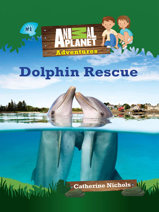 dolphin rescue